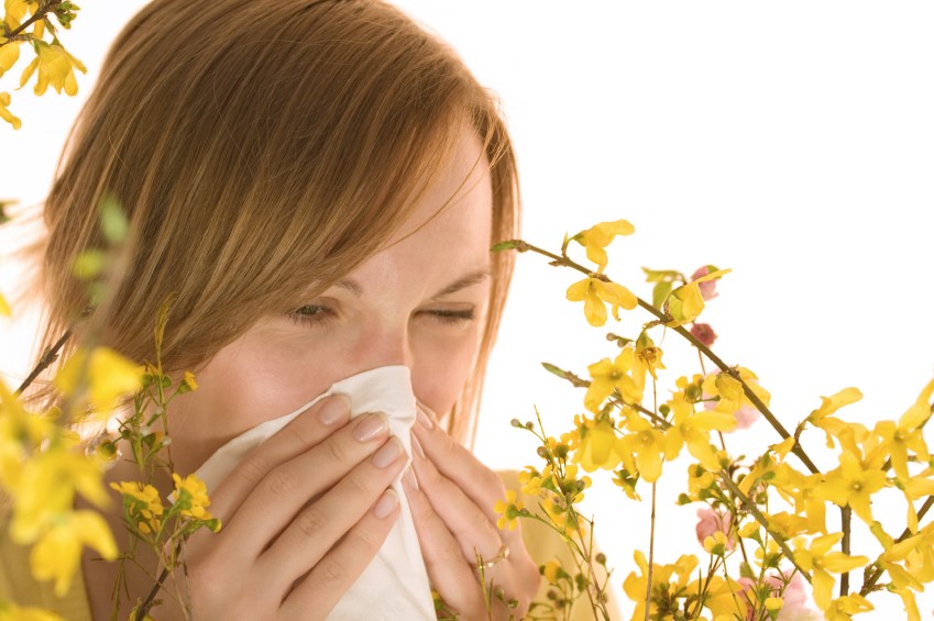 Take the Sting Out of Allergy Season